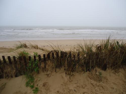 En hiver, la plage n'est pas nettoyée. Chaque marée amène son lot de "trésors".