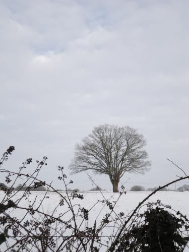 Retour des frimas. Toujours là.
