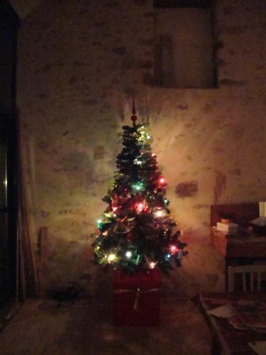  tatatsammmm ! ! ! ! Brille, brille, mon beau sapin, allume le feu (alors que Johnny est à l'hôpital, c'est gonflé).