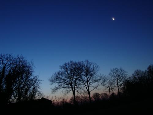  C'est beau, la campagne, la nuit.
