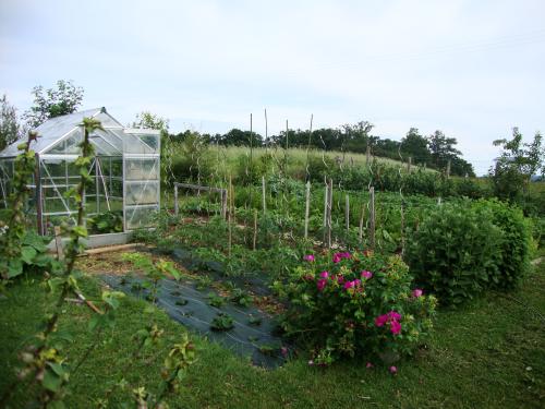 Vue du potager alors que la saison commence juste.