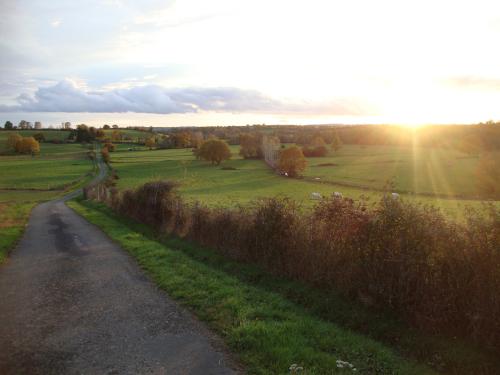 Soleil d'or