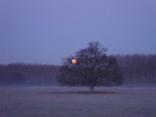 Au petit matin, ces jours-ci, il ne fallait pas rater le coucher de lune. C'était envoutant.