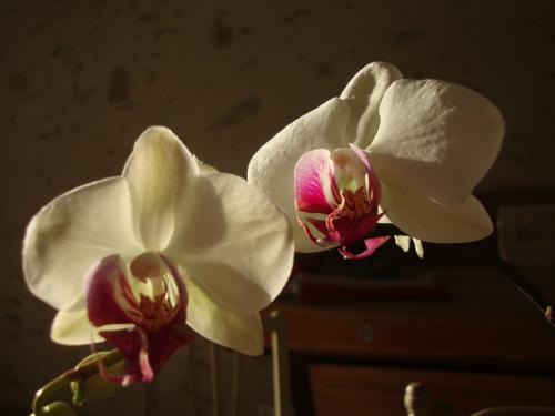 DSC03314.JPG
