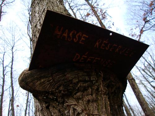 Du coup, on a mis un panneau très clair à l'attention des animaux (c'est pour ça qu'il est tourné vers le bas), et notre démarche est approuvée par la nature entière, puisque les arbres eux-mêmes se sont engagés à soutenir cette démarche.