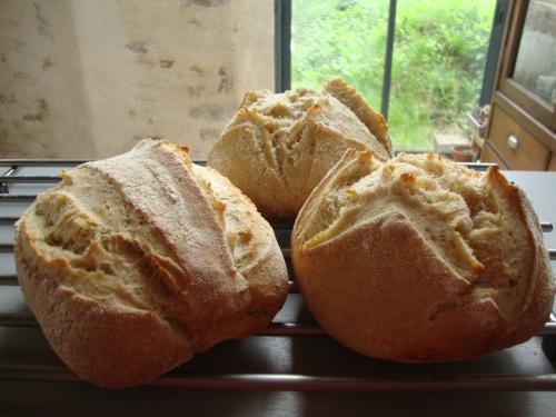 On a trouvé un mélange levain-levure qui permet de donner du volume à notre fabrication. Ça change tout.  La cuisson est meilleure aussi qui permet d'obtenir une croûte moins épaisse. On a tenté avec succès de congeler une partie de la pâte, pour  en ressortir un peu chaque fois que nécessaire. Ça marche pas mal non plus. En attendant la production de masse...