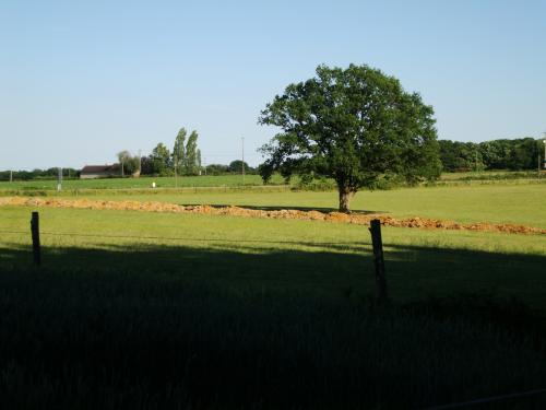 Juin, lumières franches de l'été. Chaleur, sécheresse.