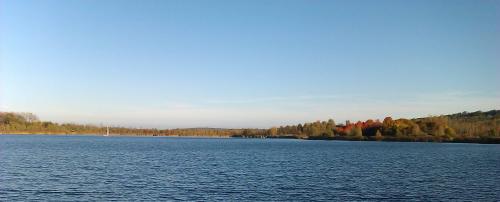 Aperçu de promenade dominicale avec canards et soleil couchant (encore, c'est vrai, mais on n'a pas trop le choix, en automne).