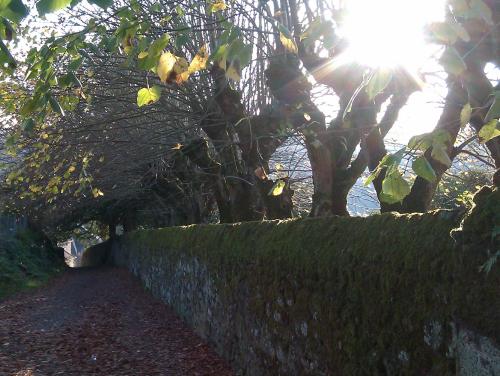 Chose nouvelle, nous avons trouvé la mairie du village, au bout d'un petit chemin en pente raide.