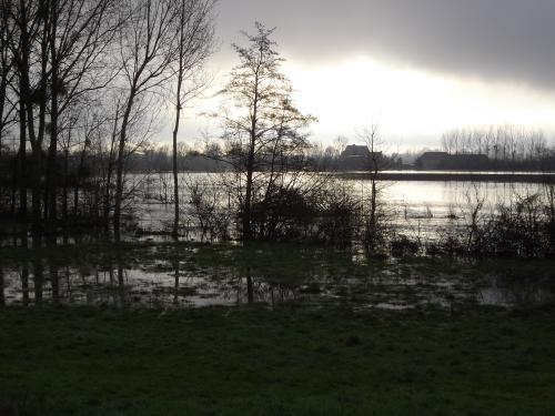 Quand le ciel bas et lourd pèse comme un couvercle sur l'esprit gémissant en proie au long ennui, et que de l'horizon embrassant tout le cercle, il nous verse un jour noir plus triste que les nuits.