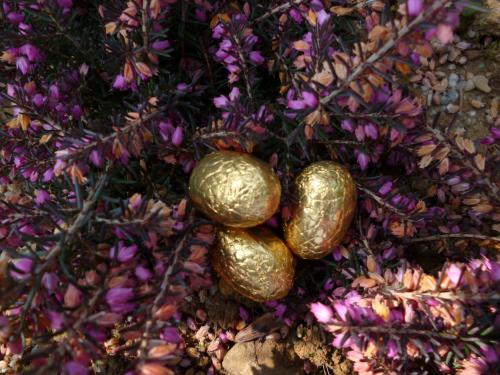 Les oeufs de pâues, on a beau dire, ce n'est pas aussi  bon que les autres. CEtte année, ils auront un goût un peu amer, je crois.