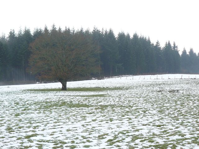 dans le froid de l'hiver