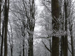 Pas de ski prévu pour 2009, alors trouver la neige lors de cette escapade dans l'Est, c'est une aubaine